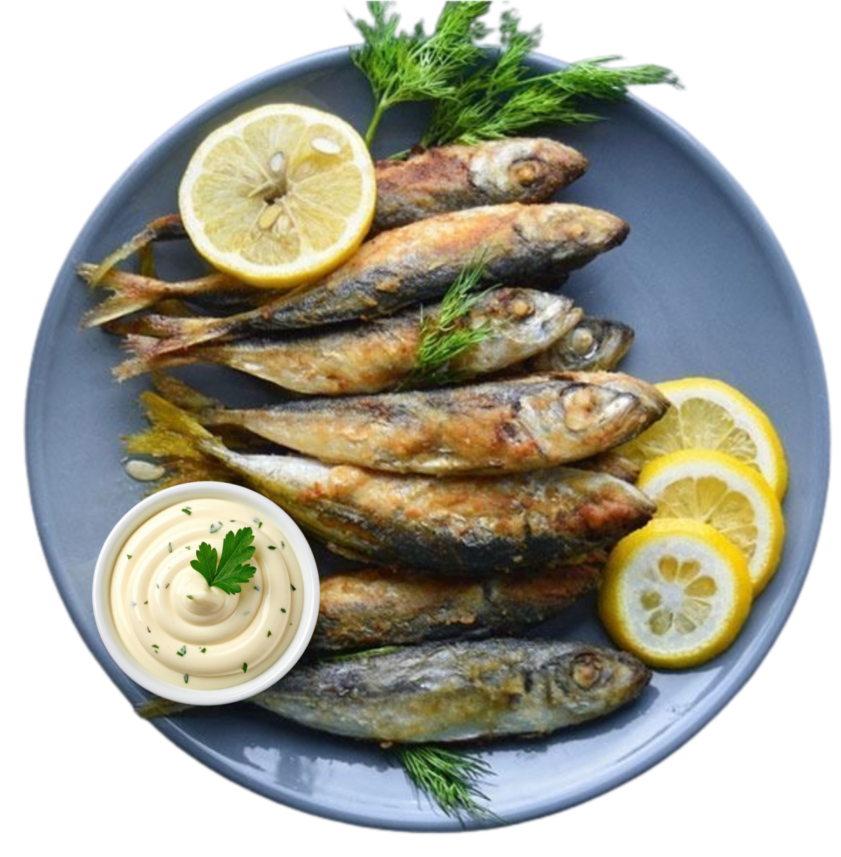 Черноморски Сафрид